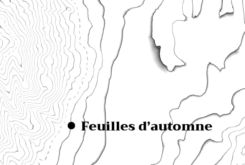 feuilles d'automne