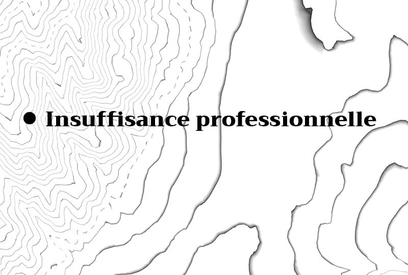 insuffisance professionnelle