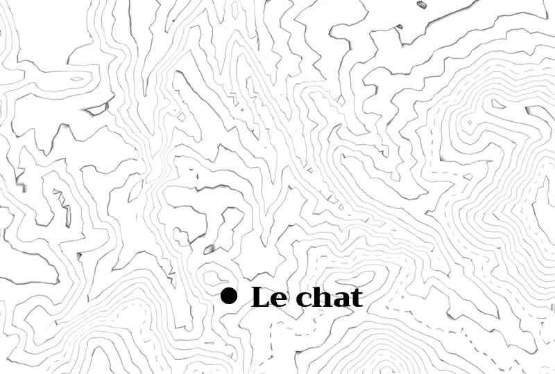 poème de rue, le chat, nathalie man