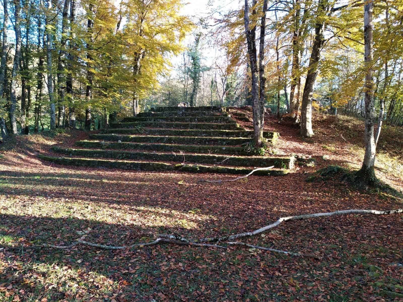 étourneaux sur cime d'arbre sans feuilles hiver bordelais nathalie man poésie